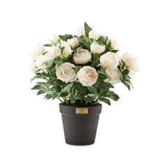 White Peony Urn Filler